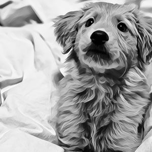 Meet your Posher, Jane